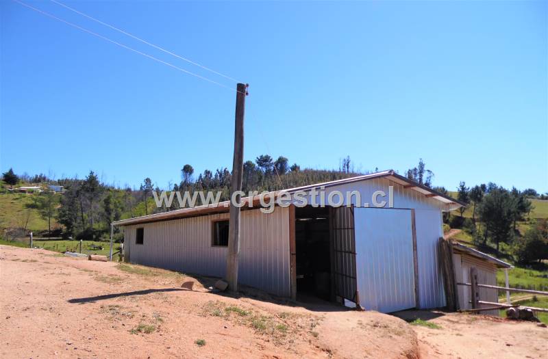Propiedad de CR Gestion