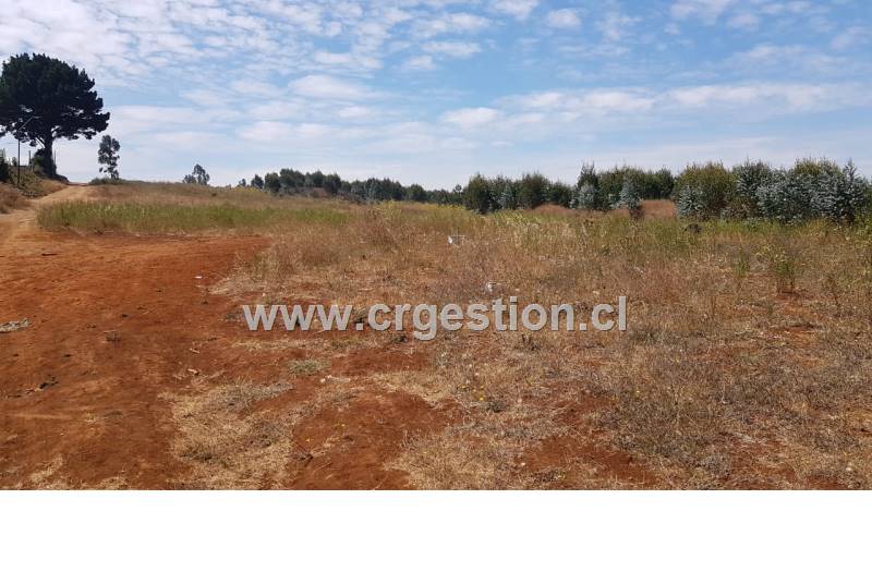 Propiedad de CR Gestion